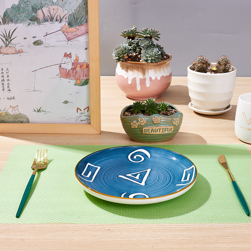 Eco-friendly Plastic Placemats for Dining Table