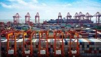 Shanghai port is resumed! Sea freight will drop sharply in the second half of the year!